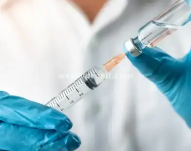 Anvisa aprova primeira vacina contra Chikungunya, do Instituto Butantan