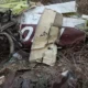 Avião agrícola cai em fazenda no interior de SP
