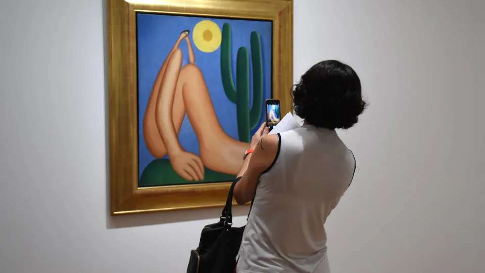 Briga por herança de Tarsila do Amaral vai parar na Justiça