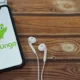 Duolingo anuncia a 'morte' de Duo, coruja mascote do aplicativo