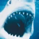 Filmes que superam (e muito) os livros em que se basearam