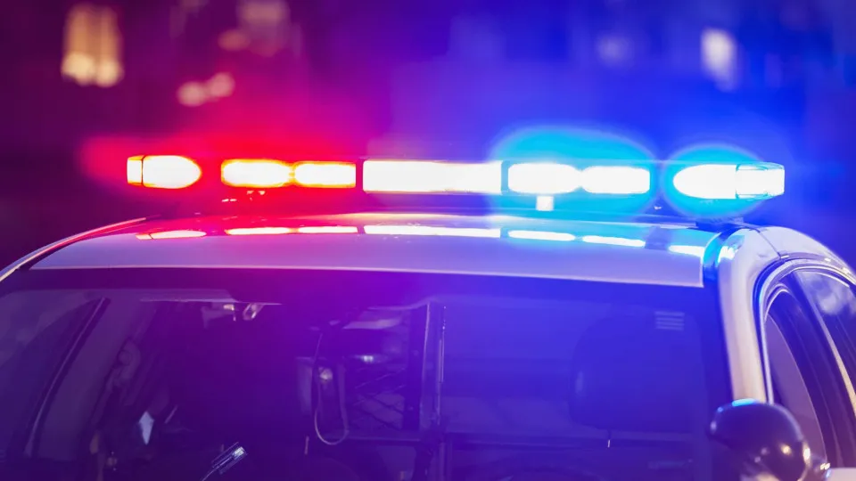 Homem é assassinado por defender cachorro que seria morto pelo tutor no CE