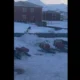 Homem escapa por pouco de ataque de urso polar em ilha norueguesa; veja