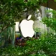 Justica da 90 dias para Apple liberar lojas alternativas no.webp 80x80