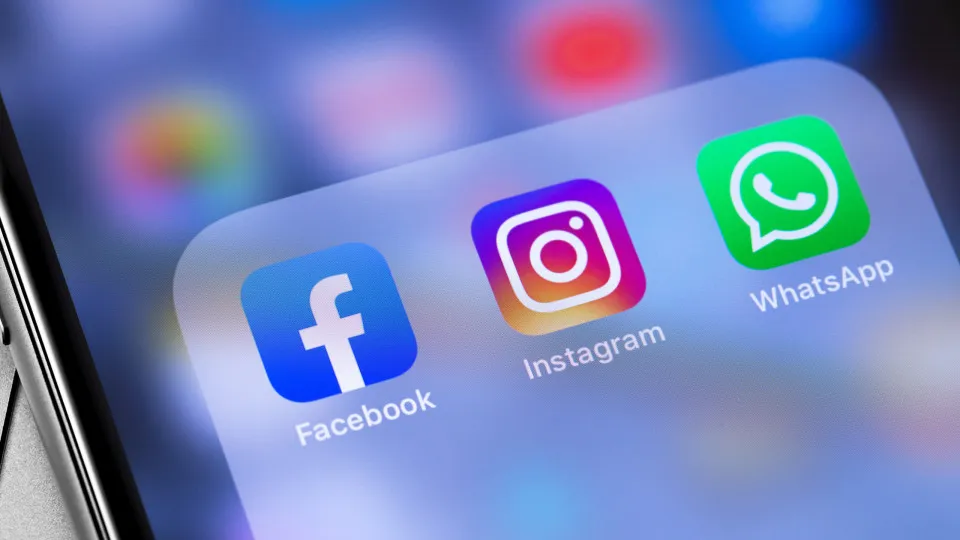 Mulher detida após vender ossos humanos na Internet. "Natureza delicada"