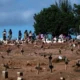 Número de mortes por Covid no Brasil ainda é alto e se equipara à queda de 6 Boeings em 2025