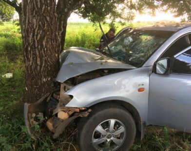 Picape a serviço da prefeitura de Macapá perde controle e atinge árvore
