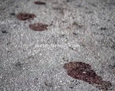 Quatro PMs são baleados durante negociação com soldado em surto