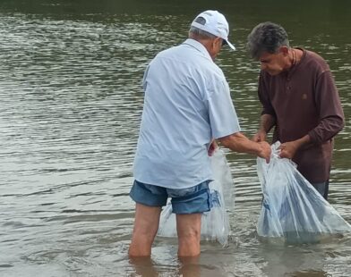 Repovoamento do rio Pará: dez mil peixes de três espécies são soltos na Prainha, em Carmo do Cajuru
