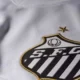 Santos muda estratégia após incômodo e atrasa escolha de novo treinador