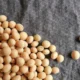 Tarifas dos EUA favorecem exportações de soja do Brasil para China, mas logística é entrave