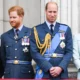 William pretende retirar títulos reais de Meghan e Harry quando for rei