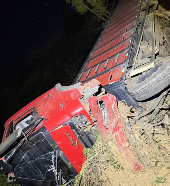 Acidente fatal: caminhão carregado de bois tomba e deixa motorista morto na BR-251