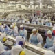 Acordo UE-Mercosul pode render R$7,7 bi à JBS até 2040, diz estudo