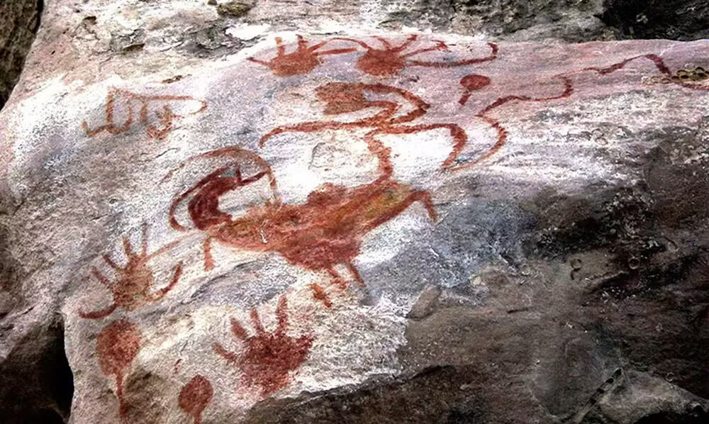 Acre lidera desmatamento ao redor de sítios arqueológicos