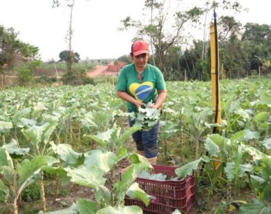 Acre vai receber R$ 24 milhões para incentivo à agricultura familiar e fortalecimento da segurança alimentar em cidades do interior do estado