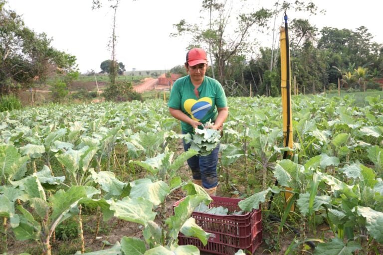 Acre vai receber R$ 24 milhões para incentivo à agricultura familiar e fortalecimento da segurança alimentar em cidades do interior do estado