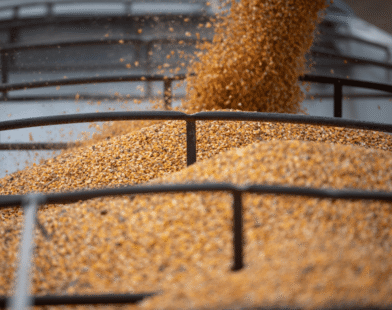 Agro brasileiro ‘surfa’ onda das tarifas, e empresas americanas sentem o impacto