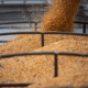 Agro brasileiro ‘surfa’ onda das tarifas, e empresas americanas sentem o impacto