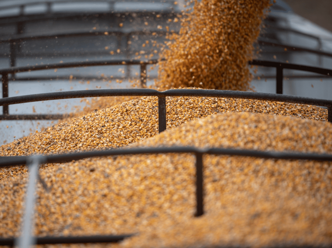 Agro brasileiro ‘surfa’ onda das tarifas, e empresas americanas sentem o impacto