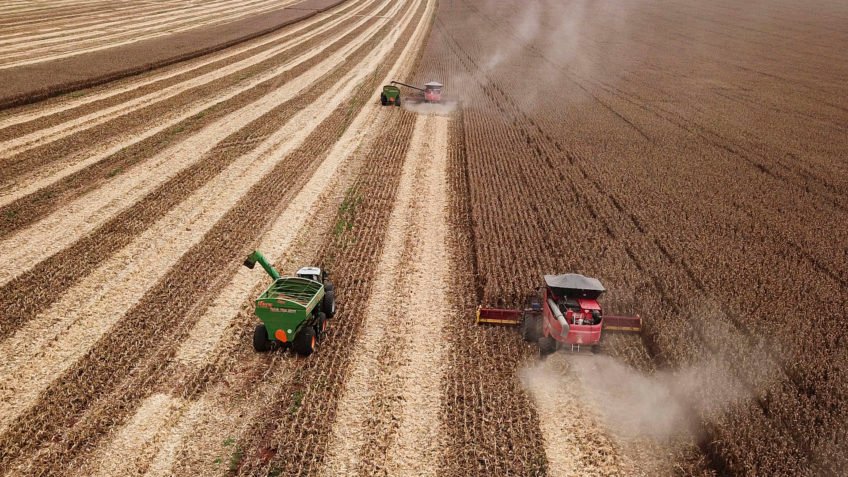 Agro mantém protagonismo e projeta ajustes para ampliar competitividade