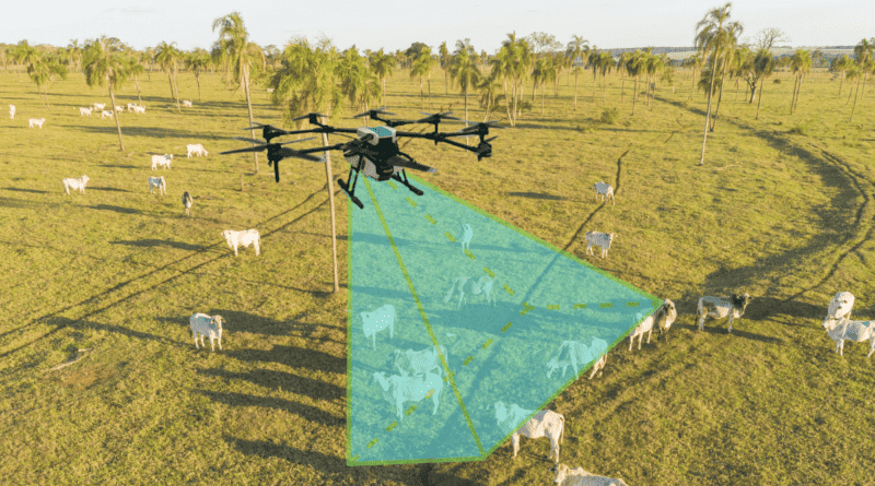 Aplicativo pesa bovinos com drone no pasto e quer revolucionar a pecuária