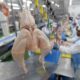 Após China e UE, Argentina suspende parte das importações de produtos avícolas do Brasil por caso de gripe aviária