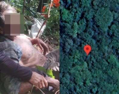 Após sair para coletar palha de coco, idoso passa dias desaparecido em mata densa e é resgatado em Pitangui | Centro-Oeste