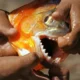 Ataques de piranhas deixam seis pessoas feridas no interior de SP