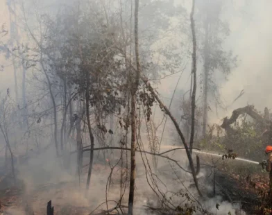 Bombeiros combatem mais de 300 focos de incêndio em meio à onda de calor no Rio
