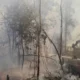 Bombeiros combatem mais de 300 focos de incêndio em meio à onda de calor no Rio