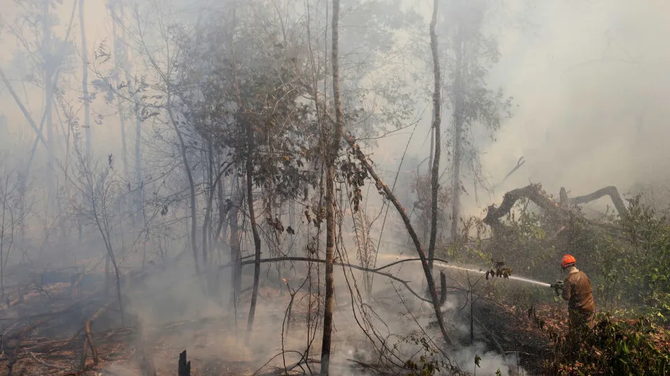 Bombeiros combatem mais de 300 focos de incêndio em meio à onda de calor no Rio