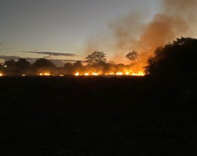 Bombeiros controlam fogo em pastagem seca que avançava sobre área residencial em Januária