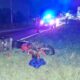 Ciclista que 'ziguezagueava' na MG-050 é atropelado por moto e morre em Itaúna | Centro-Oeste