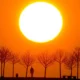 Cientistas detectam pela primeira vez neutrinos vindos do interior do Sol