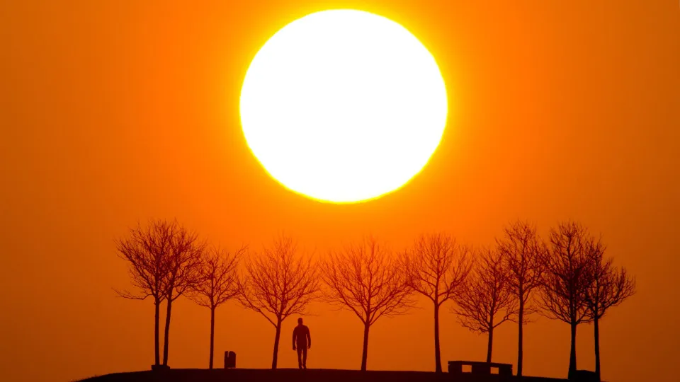 Cientistas detectam pela primeira vez neutrinos vindos do interior do Sol