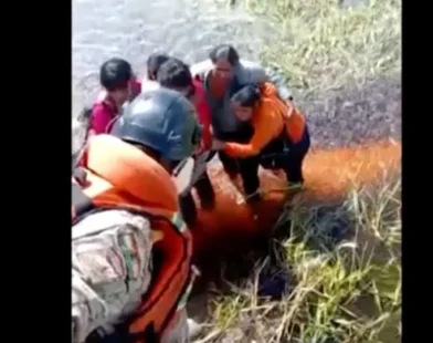 Cinco pessoas sobrevivem após queda de avião em pântano com jacarés