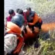 Cinco pessoas sobrevivem após queda de avião em pântano com jacarés