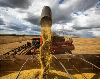 Conab confirma produção histórica de soja no Brasil e aponta demanda aquecida no mercado interno e externo