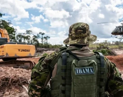 Concurso do Ibama terá 460 vagas com salários de R$ 9,9 mil