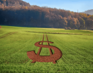 Crédito setor rural e agroindustrial atingiu R$ 219,7 bilhões ano passado