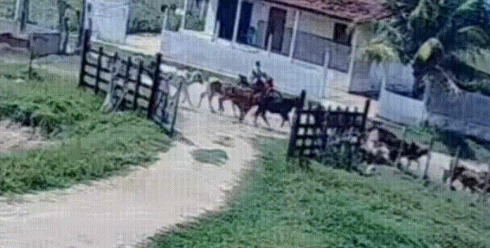 Ícone de sino para notificações