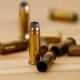 Criminosos invadem clube de tiro e roubam 30 armas na zona norte de SP