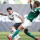 Empate sem gols marca duelo entre Palmeiras e Botafogo no Brasileirão