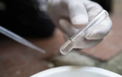 Estado de São Paulo confirma, em média, 2,9 mil casos de dengue por dia em 2025