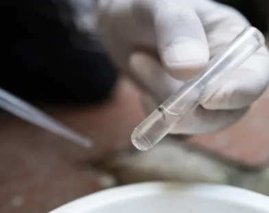 Estado de São Paulo confirma, em média, 2,9 mil casos de dengue por dia em 2025