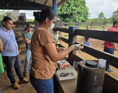 Estado intensifica campanha de vacinação contra a Brucelose e reforça apoio aos produtores rurais de Sena Madureira