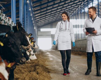Expomontes 2025 abre inscrições para estágio em Medicina Veterinária, Zootecnia e Agronomia