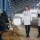 Expomontes 2025 abre inscrições para estágio em Medicina Veterinária, Zootecnia e Agronomia
