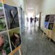 Exposição fotográfica revela belezas ocultas da natureza em Nova Serrana; saiba como visitar | Centro-Oeste